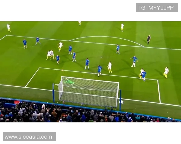 奈梅亨与坎布尔激战8月17日精彩回顾与赛后分析